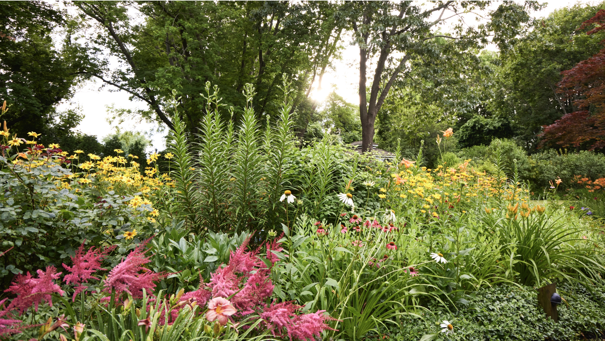 Applying Organic Fertilizer