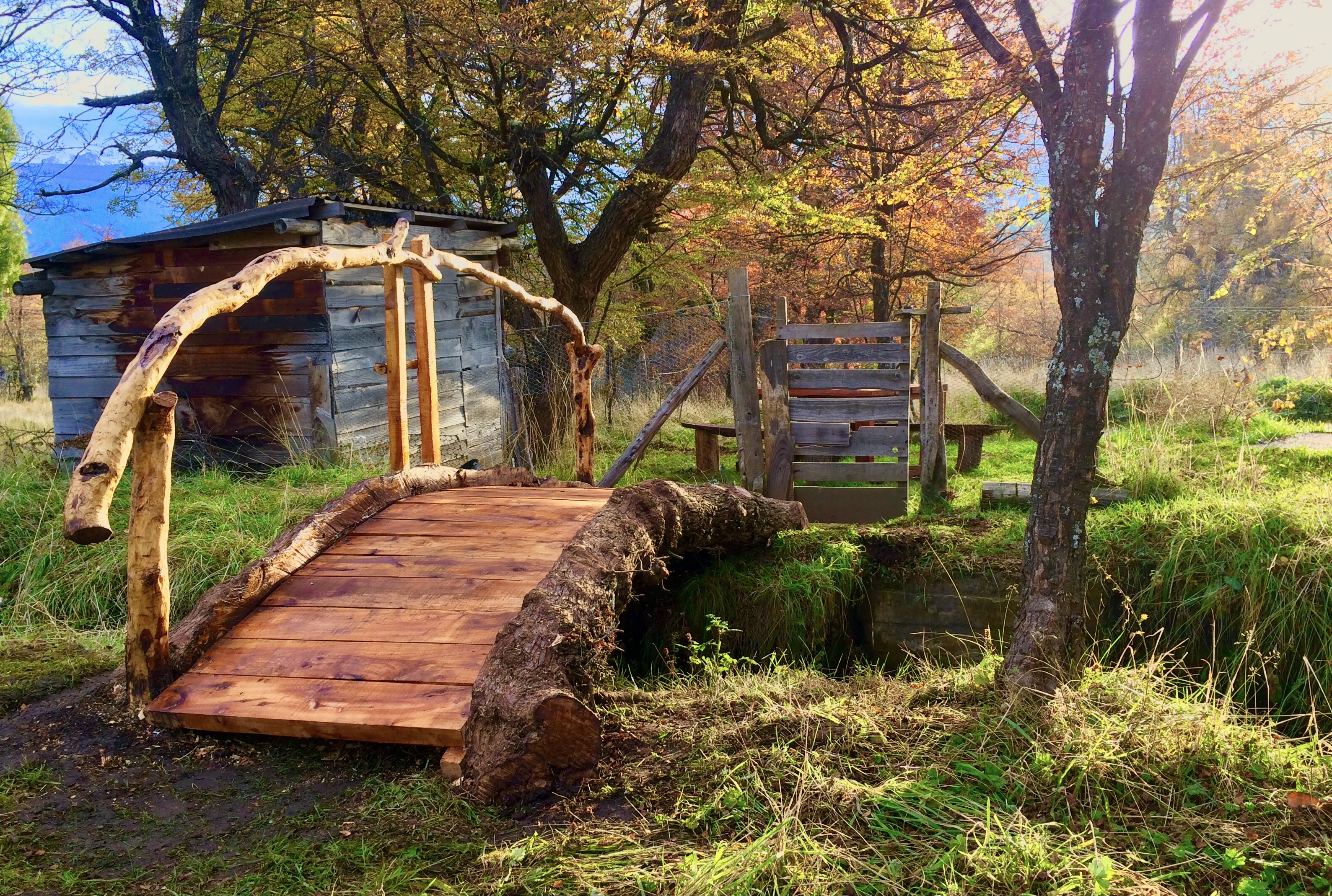 Garden. Planting. Landscaping. Perennial. Annual. Landscape. Garden Design. Pruning. Transplanting. Outdoor Design.