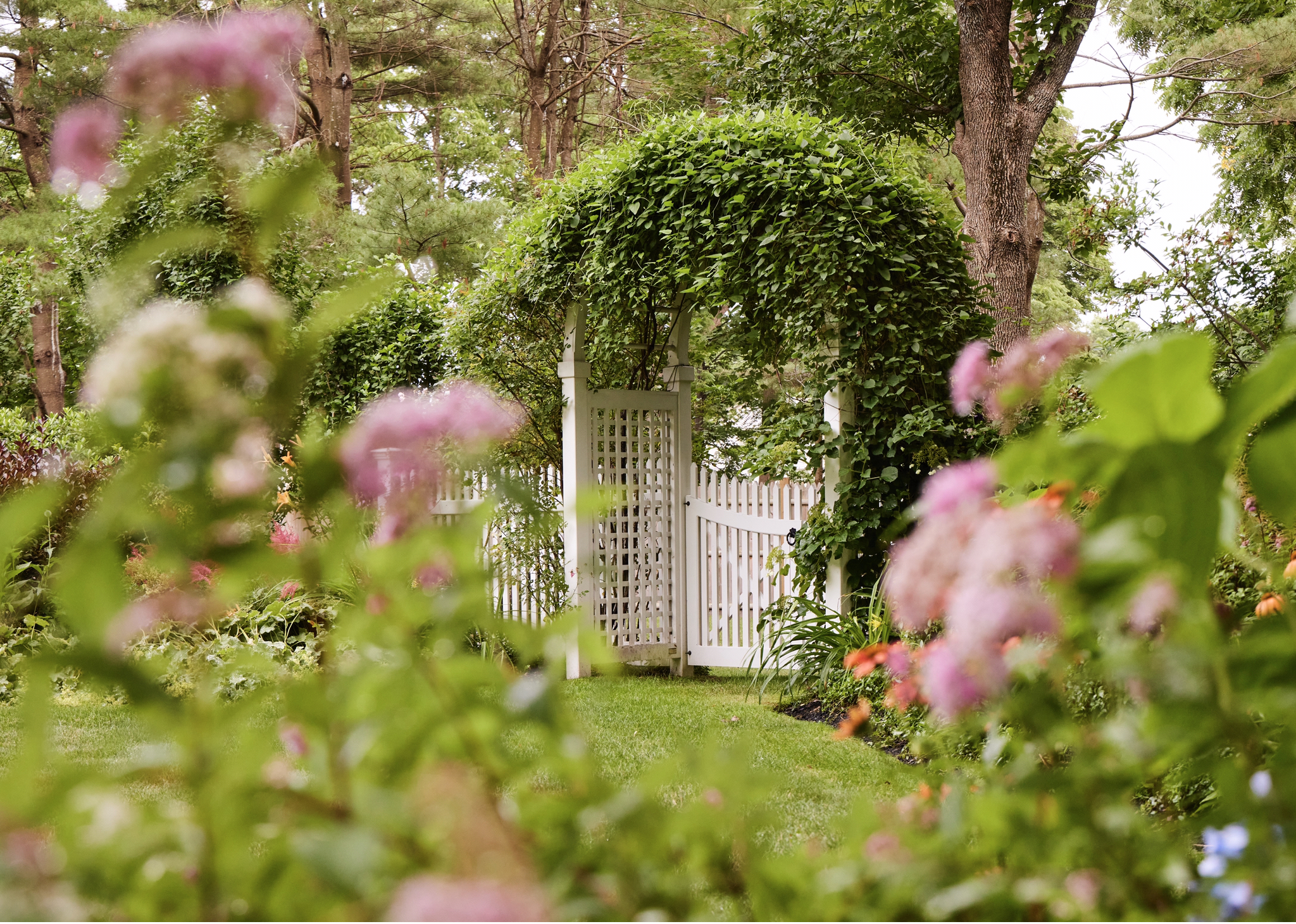 Garden. Planting. Landscaping. Perennial. Annual. Landscape. Garden Design. Pruning. Transplanting. Outdoor Design.