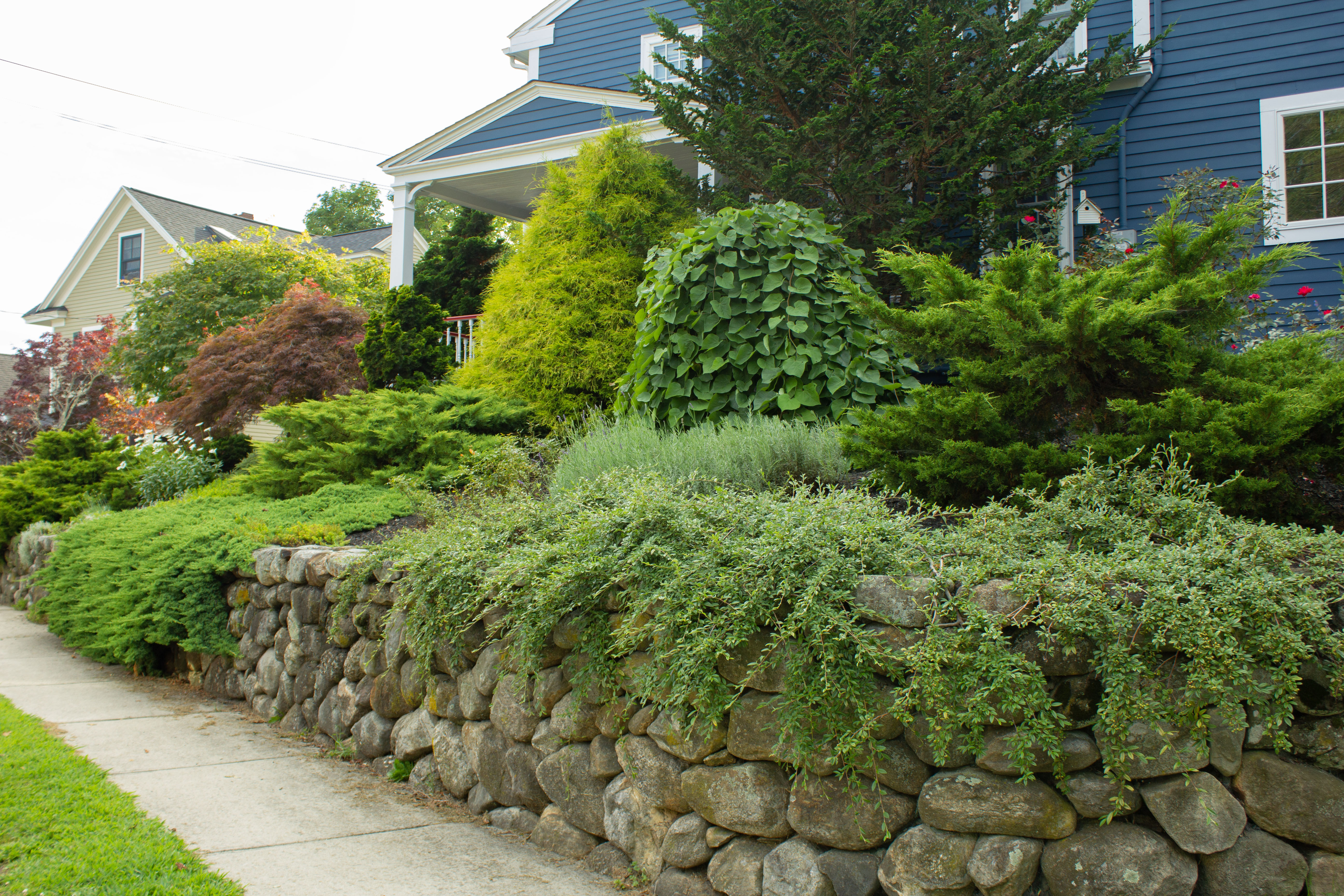 Garden design Trees and shrubs garden stone wall natural boulder Amesbury ma