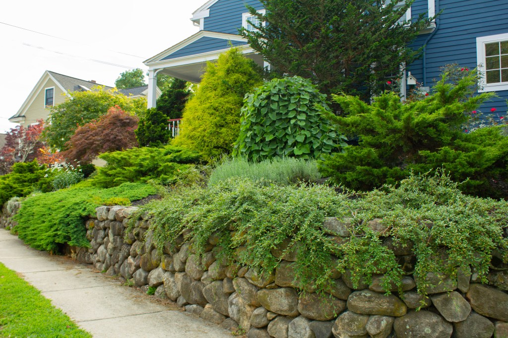Garden design Trees and shrubs garden stone wall natural boulder Amesbury ma