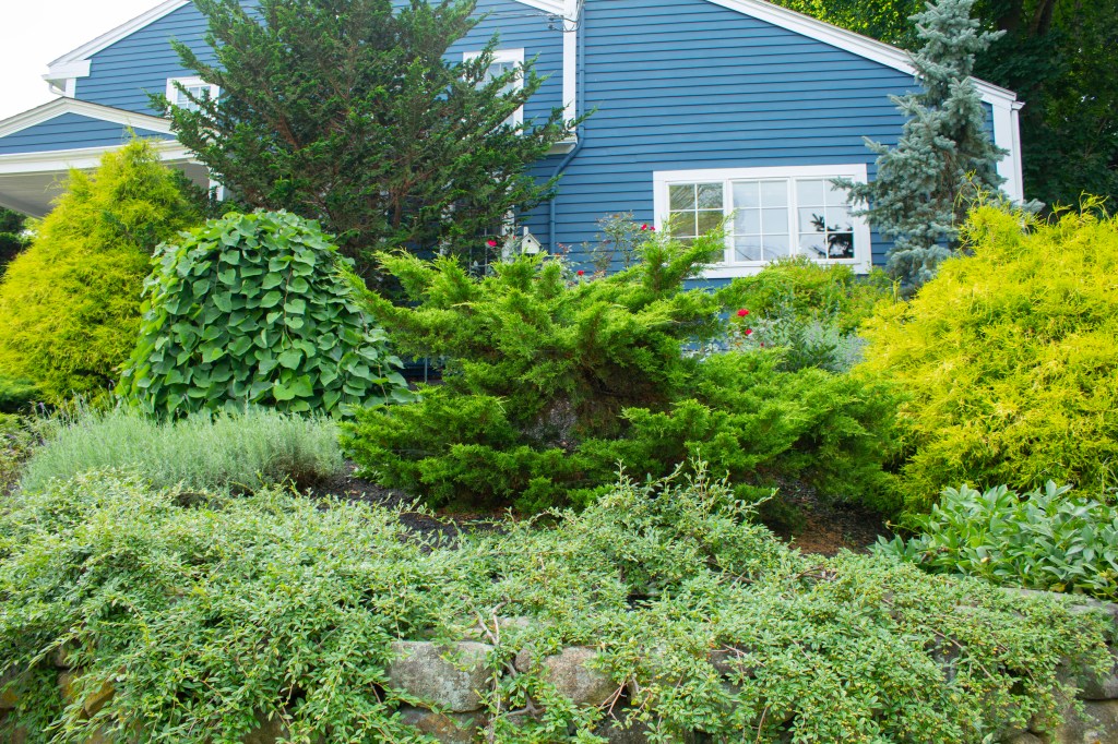 Garden. Planting. Landscaping. Perennial. Annual. Landscape. Garden Design. Pruning. Transplanting. Outdoor Design.