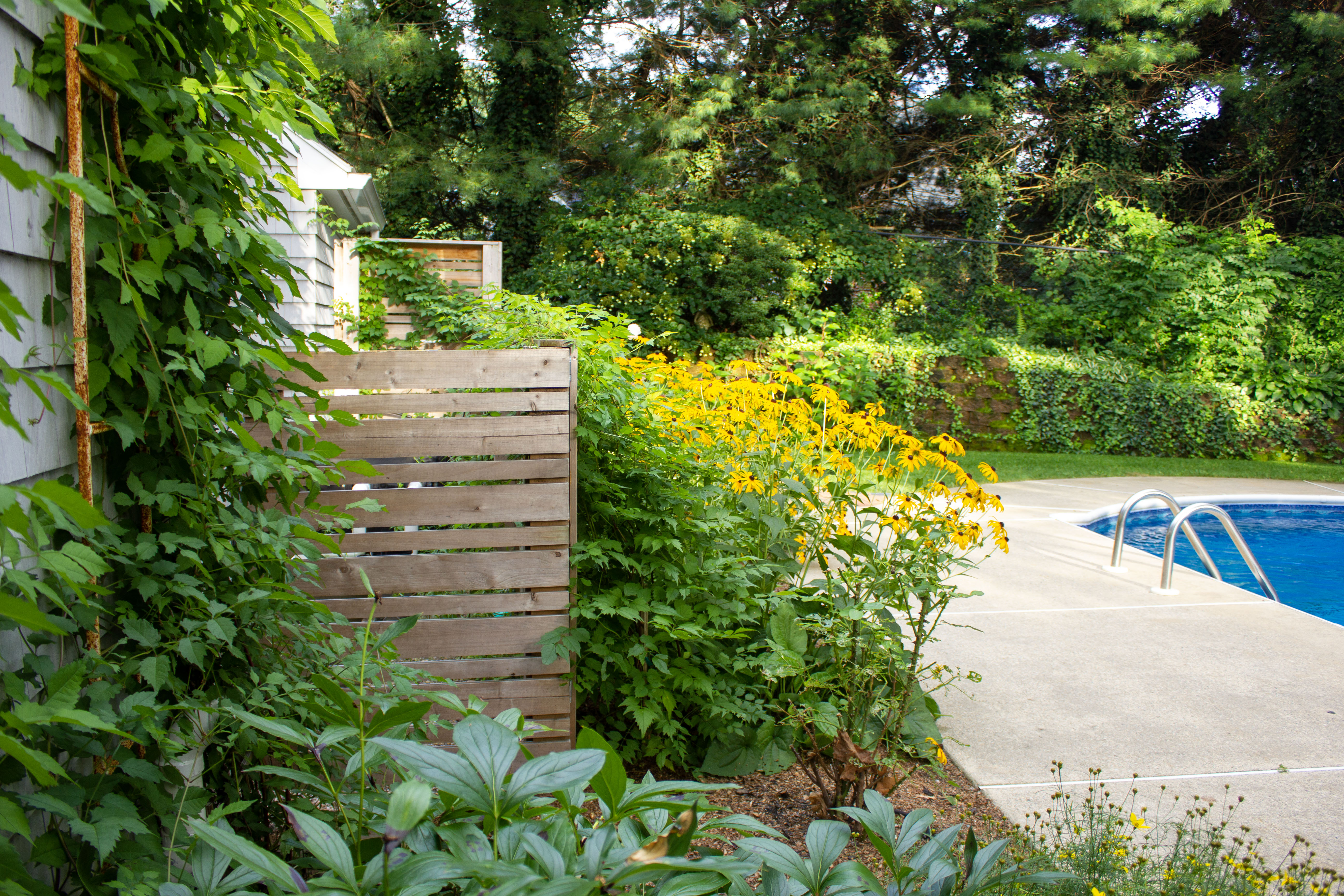 A lush garden with vibrant yellow flowers and green foliage adjacent to a pool area, featuring a wooden fence and climbing plants.