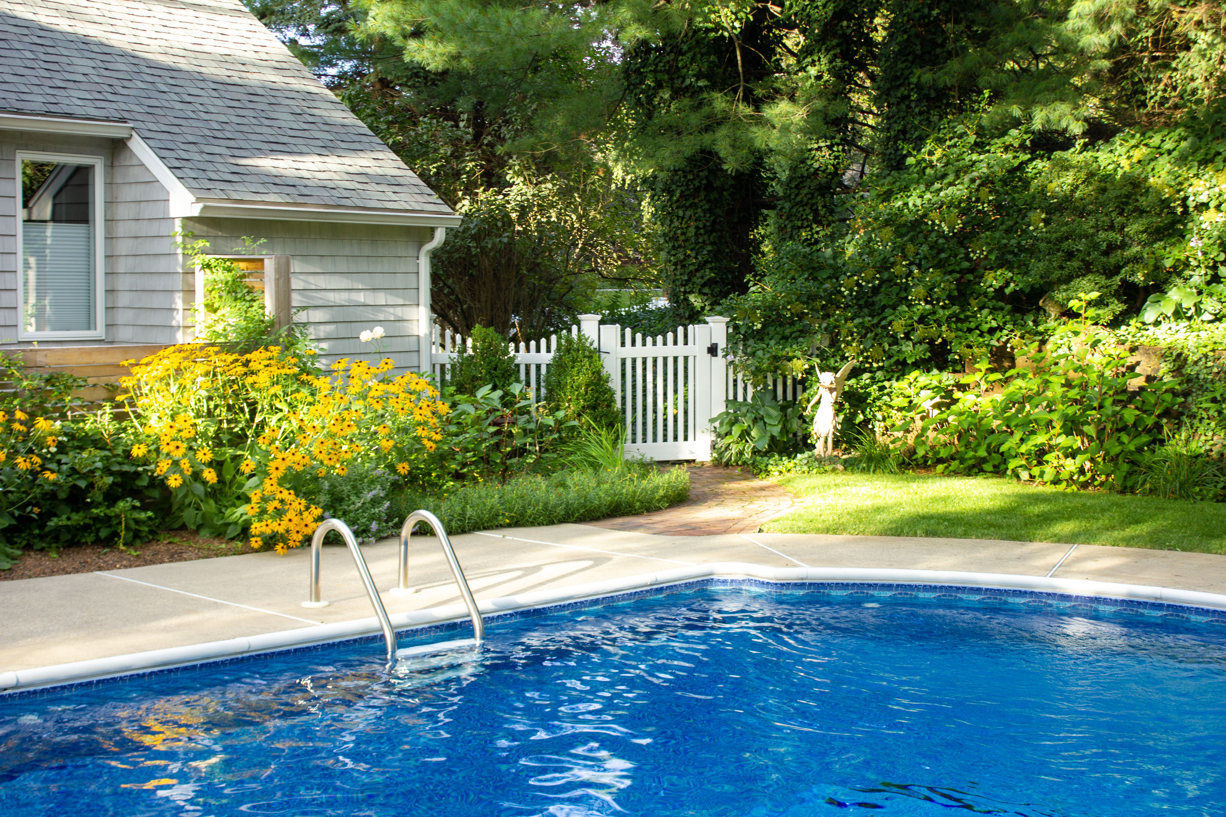 Poolside garden, rudbeckia, lavender, hydrangea hardscaping, jmj gardens