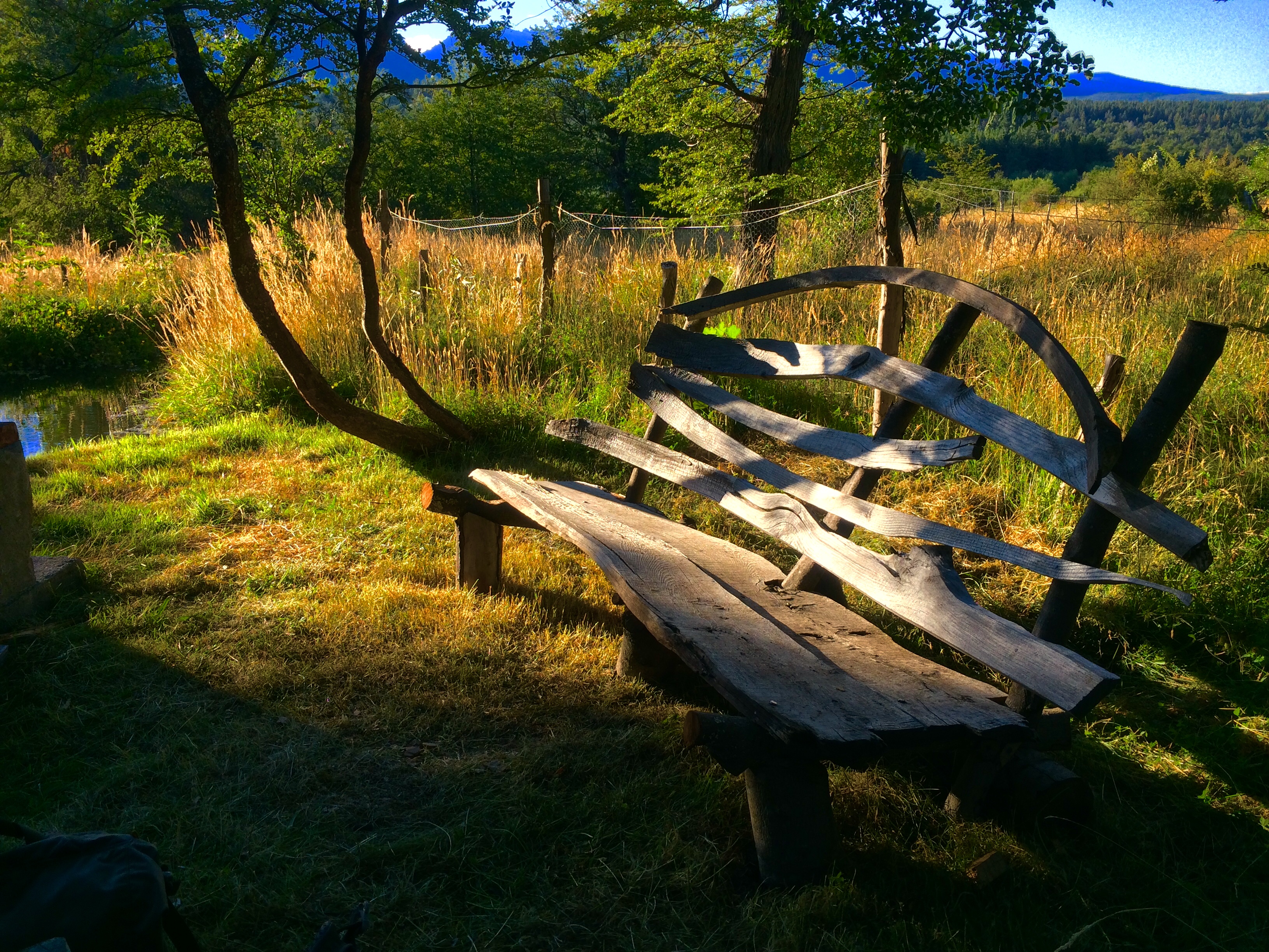 ustic wooden bench along a natural meadow trail with golden hour lighting