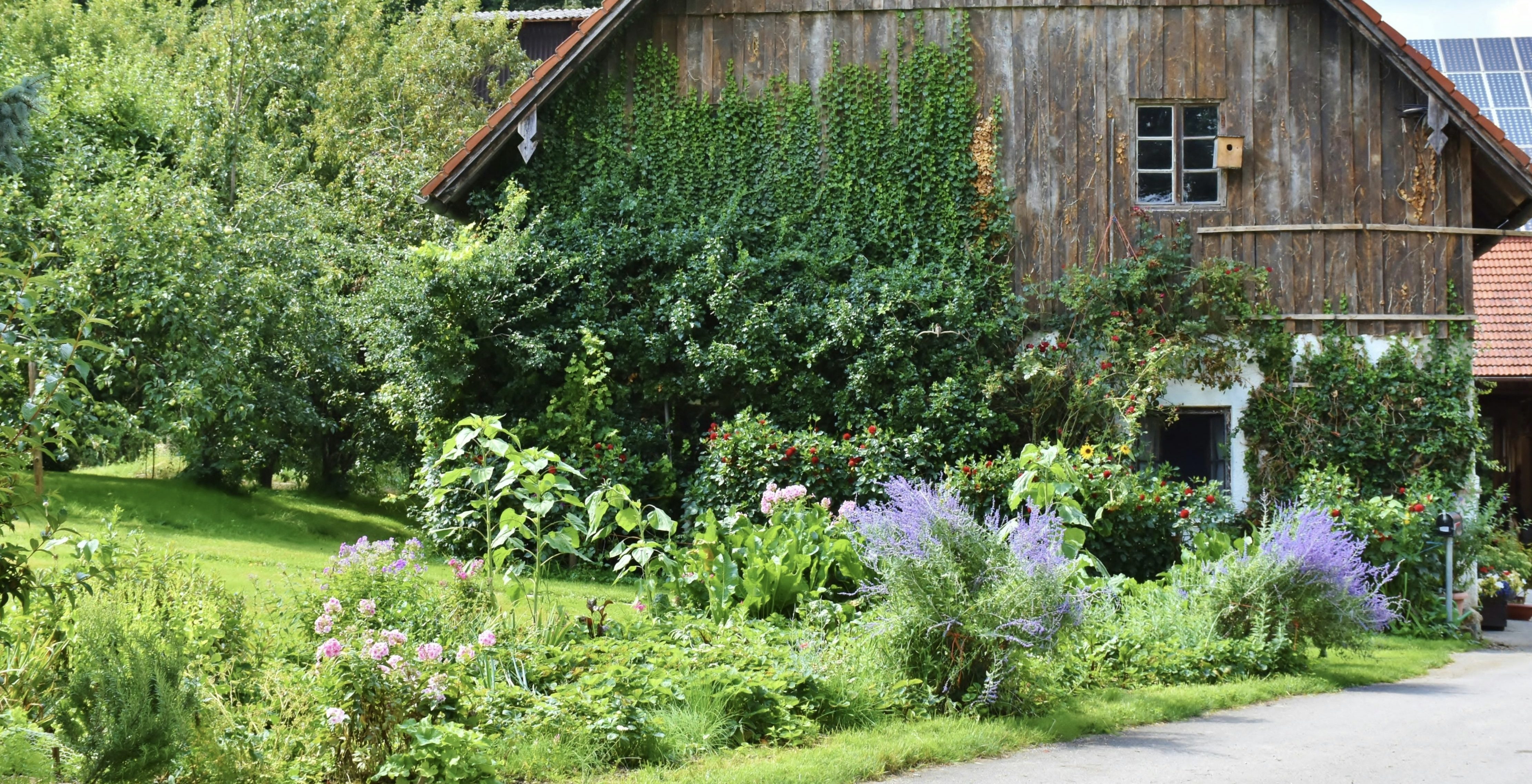 Garden. Planting. Landscaping. Perennial. Annual. Landscape. Garden Design. Pruning. Transplanting. Outdoor Design.