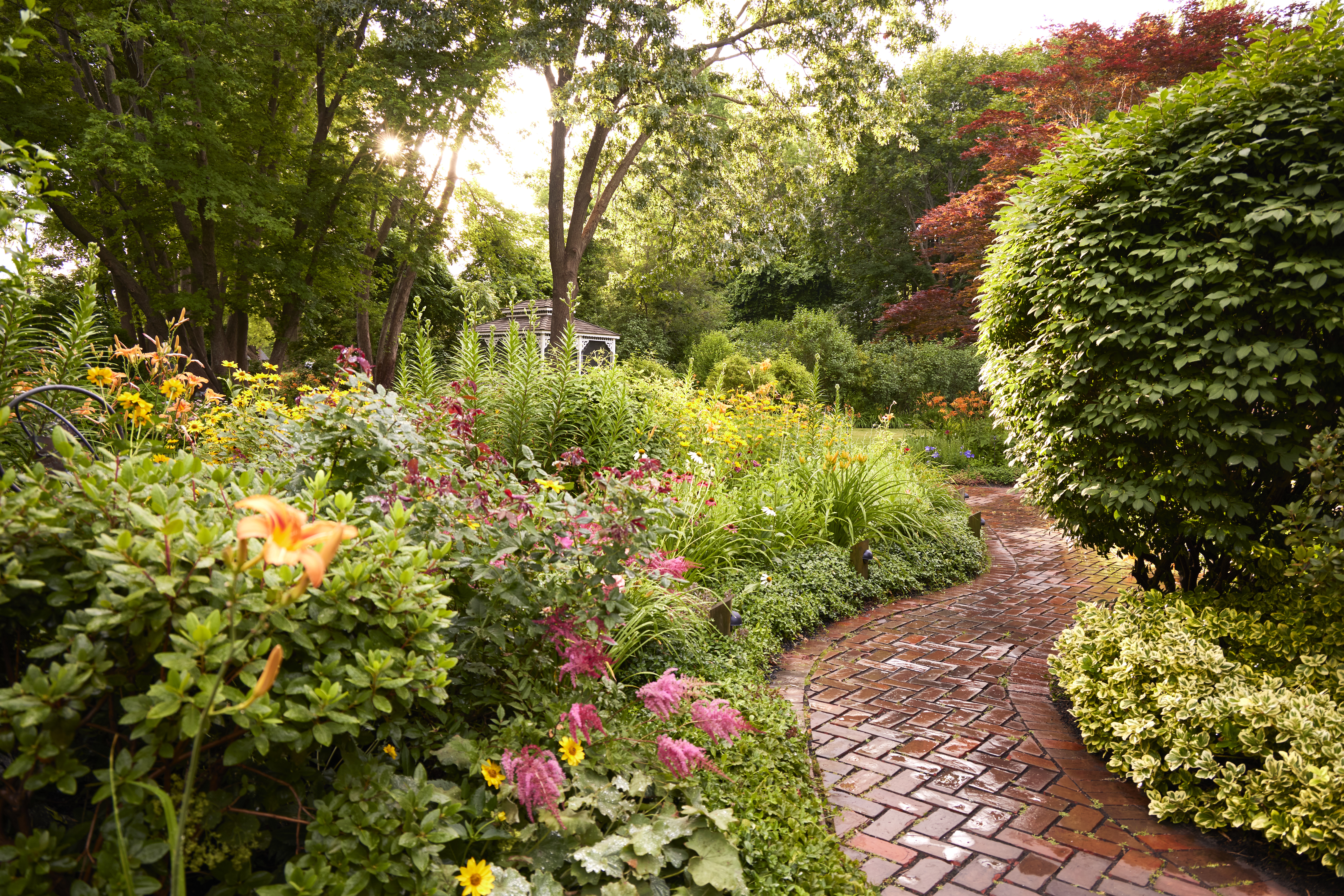 Brick garden path surrounded by a blooming perennial landscape and mature shrubs

