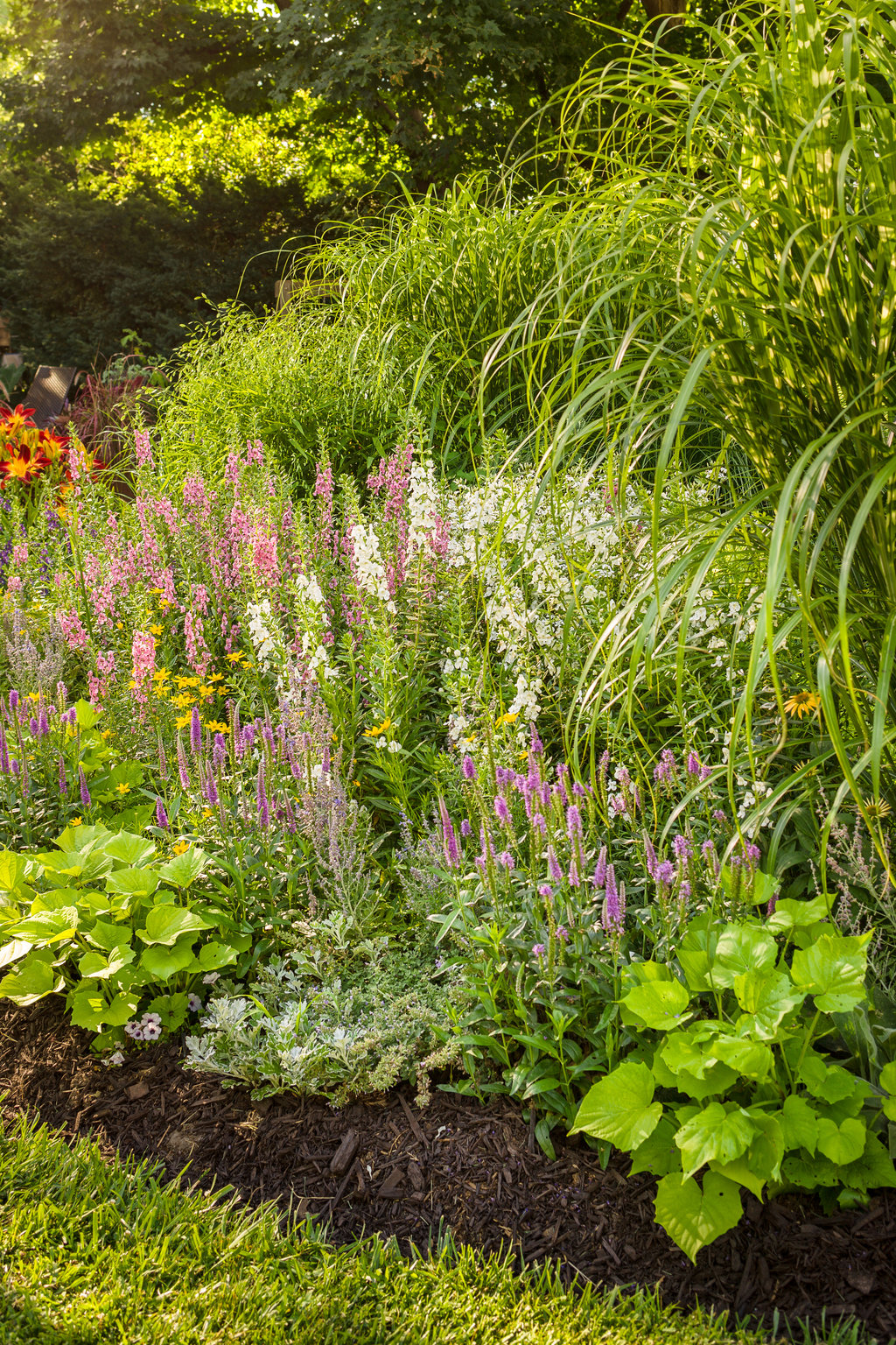 Pollinator-friendly garden with ornamental grasses and native wildflowers