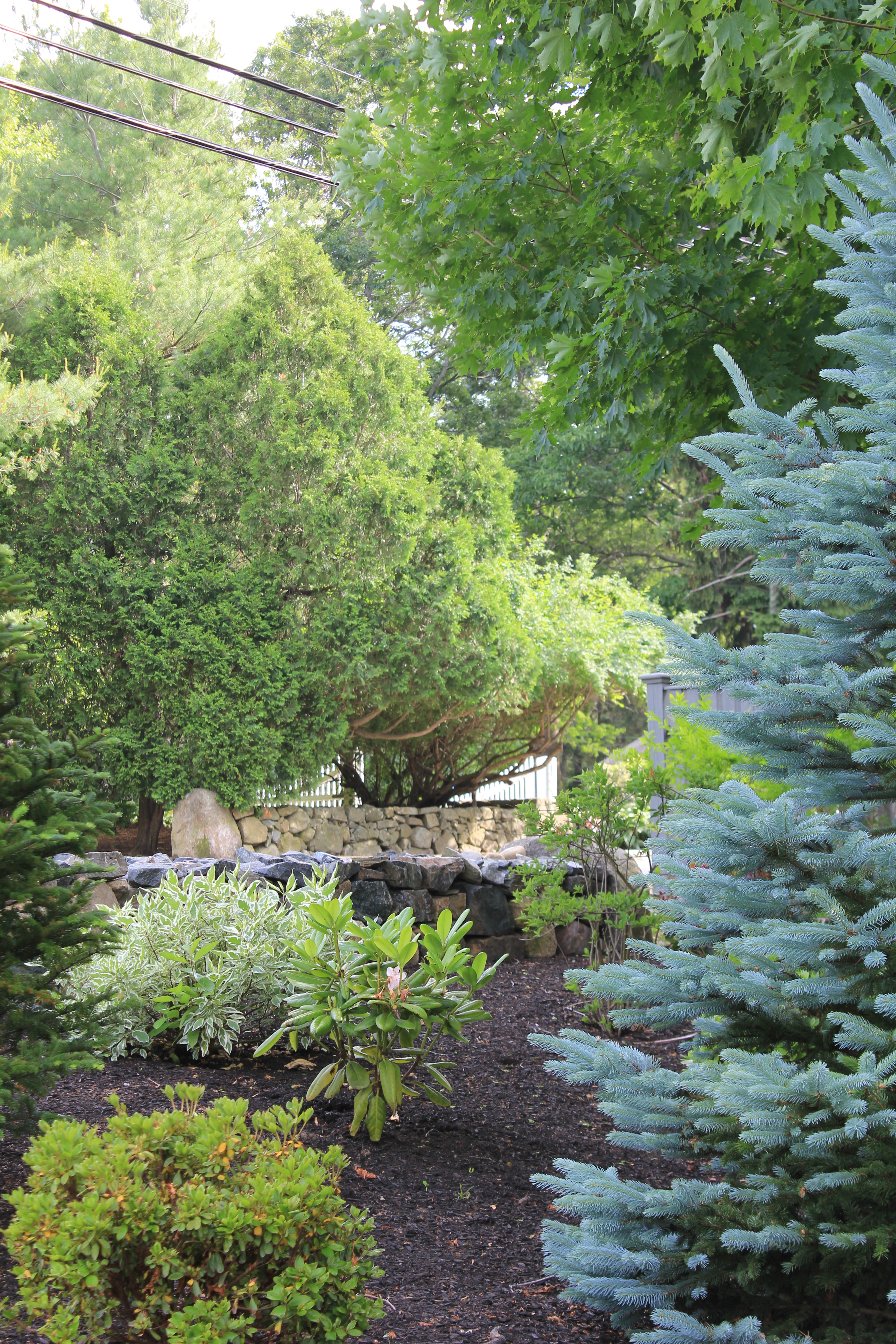 Landscaping, tree planting, garden crew, New England gardening