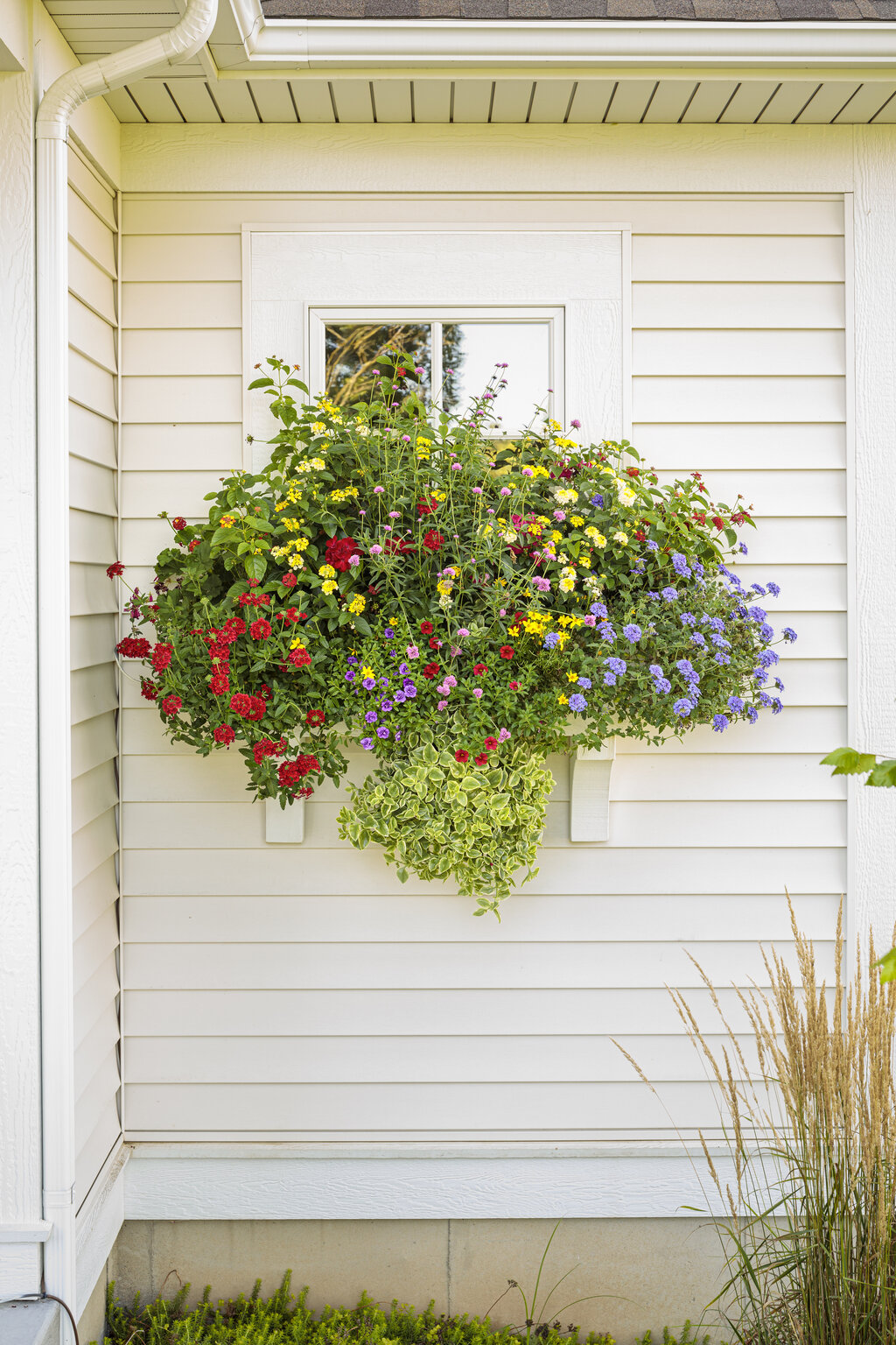 Natural Plant Treatments