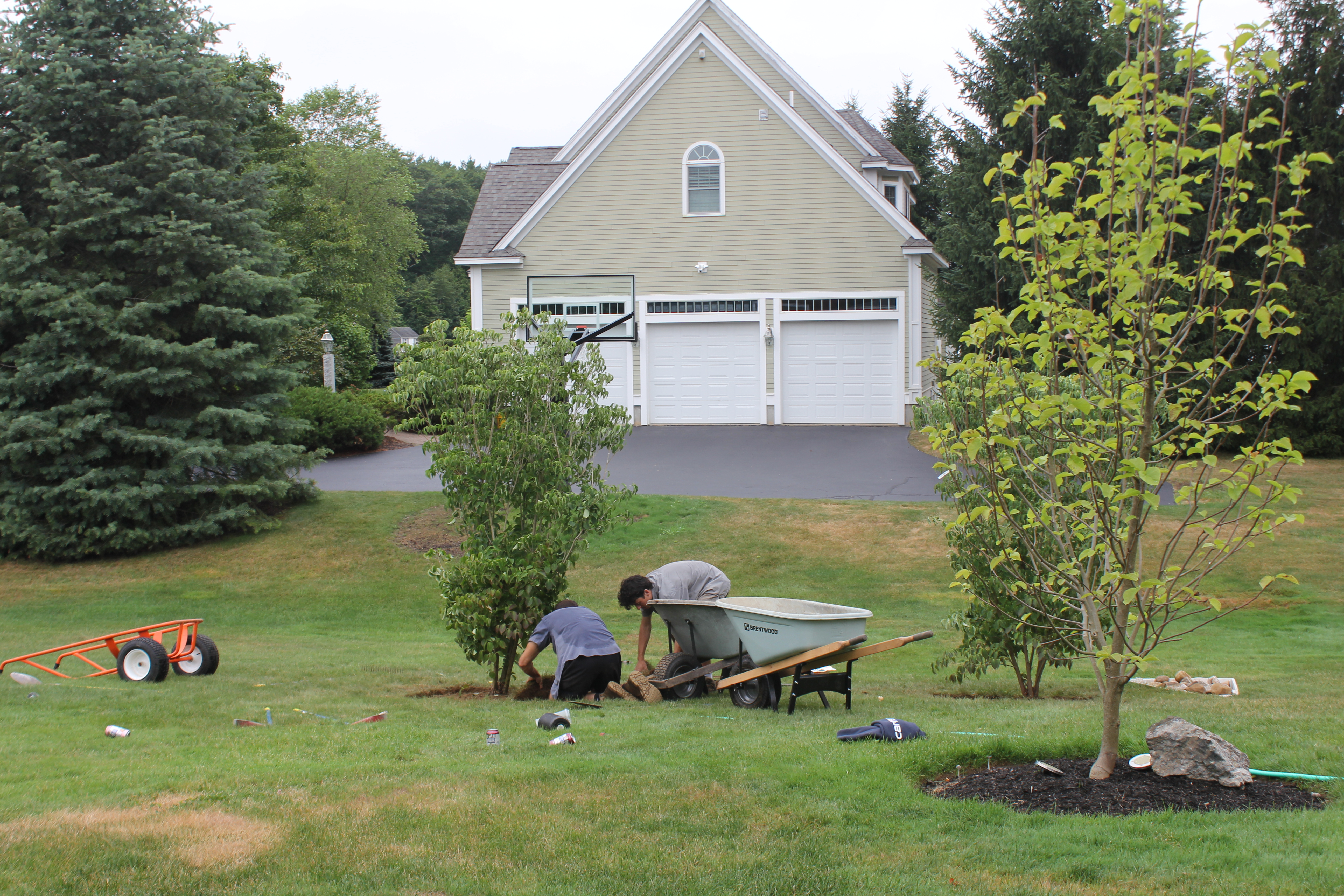 Landscaping, tree planting, garden crew, New England gardening