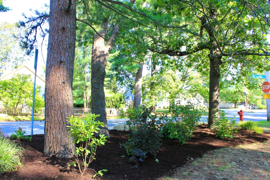 Volunteer garden Newburyport ma jmj gardens landscaping