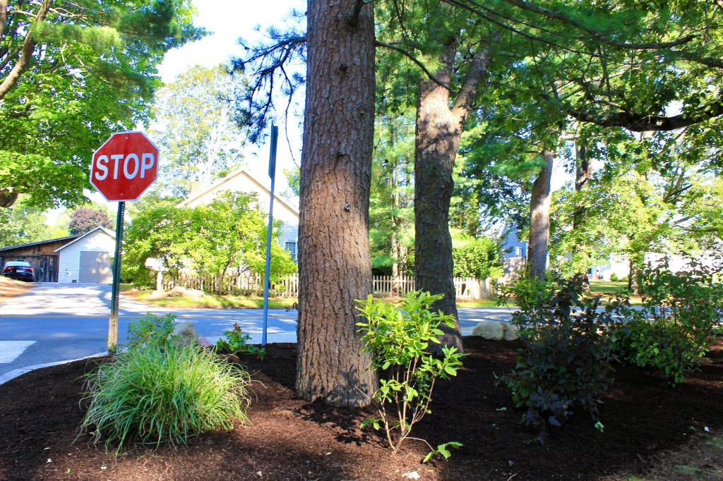 Volunteer garden Newburyport ma jmj gardens landscaping