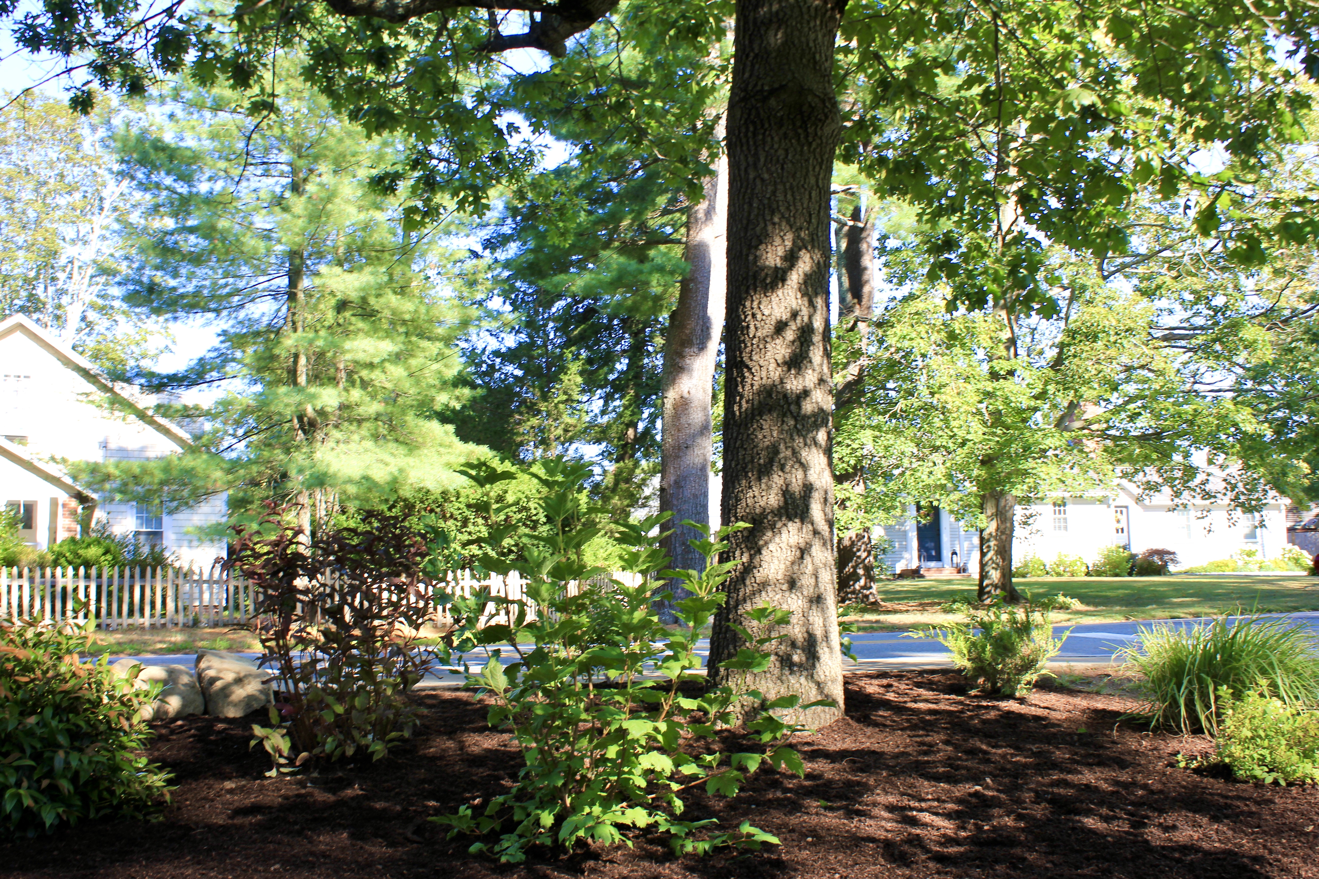Volunteer garden Newburyport ma jmj gardens landscaping