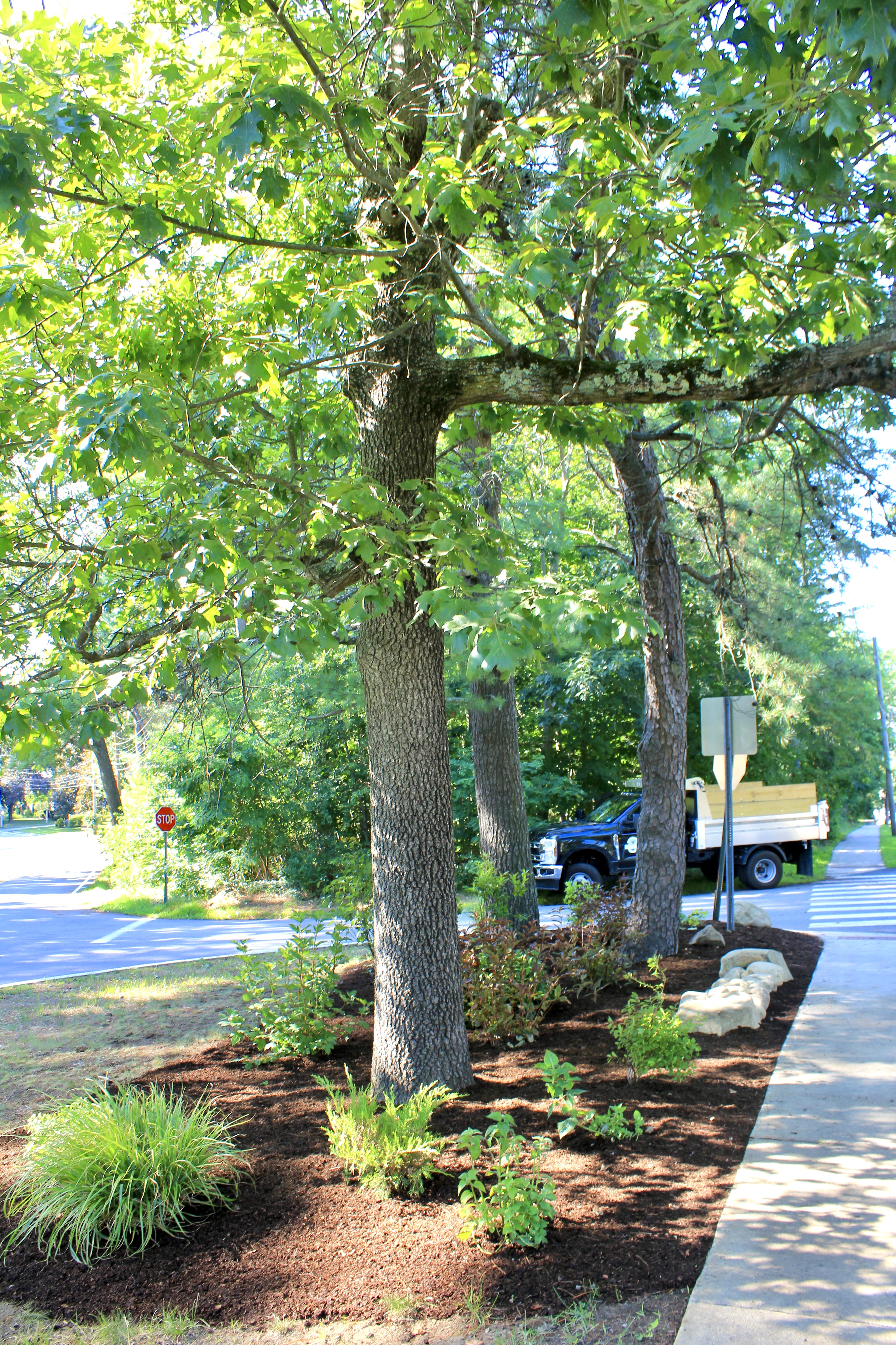 Volunteer garden Newburyport ma jmj gardens landscaping
