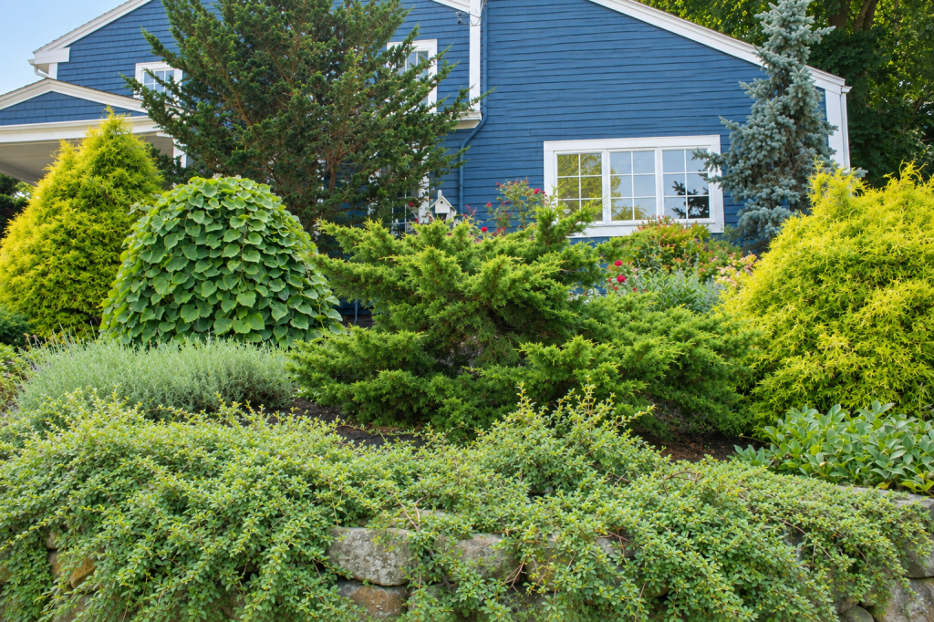 Lush residential garden landscaping in Newburyport Massachusetts with layered plantings and natural stone wall