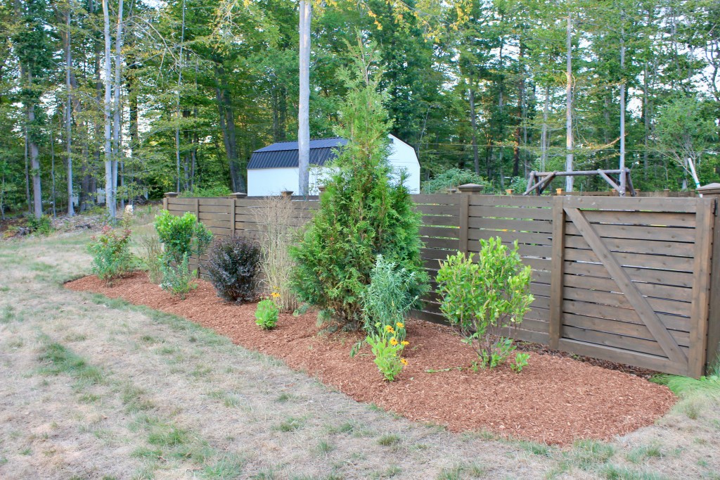Gardening, poolside , landscape design, trees and shrub planting, inground pool