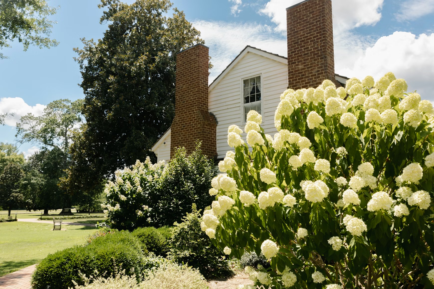 Newburyport ma home with hydrangea shrubs and perennials White House with brick lawn and garden