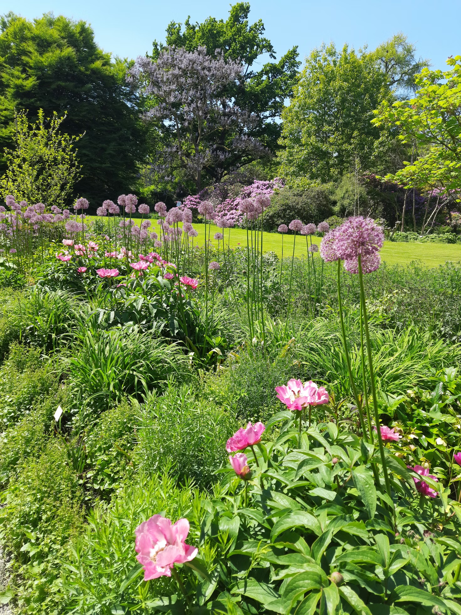 Perennial planting colorful New England landscape Newburyport ma