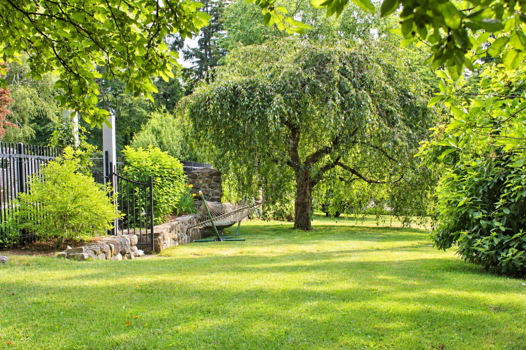 Landscaped backyard with a green lawn, mature shade trees, dense shrubs, a stone retaining wall, black metal fence, and hammock.