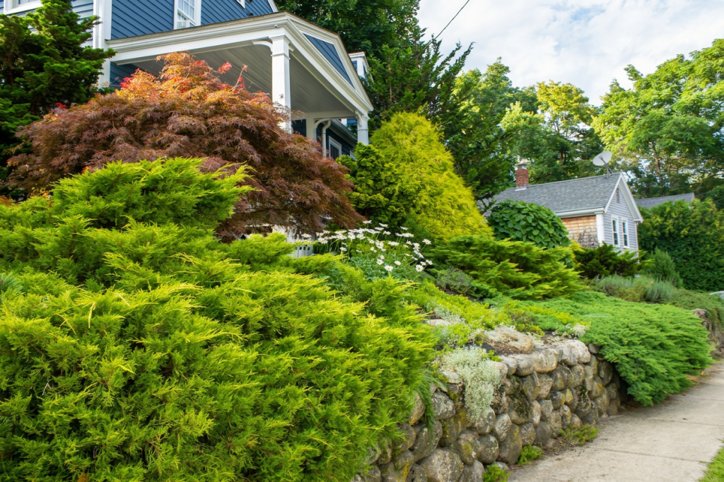 Garden. Planting. Landscaping. Perennial. Annual. Landscape. Garden Design. Pruning. Transplanting. Outdoor Design.